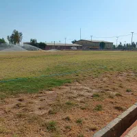 فروش چمن آفریقایی با اجرا، کود|خدمات باغبانی و درختکاری|اهواز, اهواز|دیوار