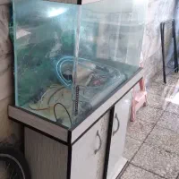 آکواریوم در حدنو|ماهی|اسلام‌شهر, مظفریه|دیوار