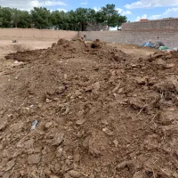 کود دامی گاوی خشک