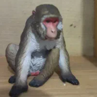 فیگور ماکاک ژاپنی برند کیتان کلاب ژاپن حیوانات