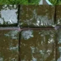 سبزی خورشتی خرده و عمده