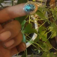 فیروزه نیشابور