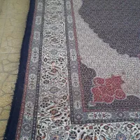 فرش دستباف ۲۴متری بی نظیر|فرش|بیرجند, |دیوار