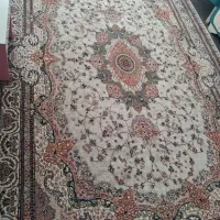 یک دونه  ۶ متری
