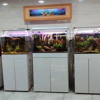 اکواریوم ماهی شاپ