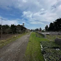 زمین-ساحلی-200متری-چابکسر-سند-تک-برگ