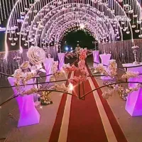 تشریفات عروسی . کیفیت و قدرت در اجرا