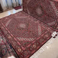 جفت ۶متری دستباف ماهی اردبیل رنگ خاص (قهوه ای)
