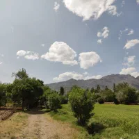 زمین کشاورزی مرغوب|فروش زمین و ملک کلنگی|سلفچگان, |دیوار