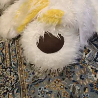 عروسک سگ یک متری بزرگ