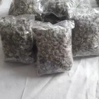 زیره کوهی وآنوخ یا چای کوهی و آویشن از کوهای بینال|گل و گیاه طبیعی|مشهد, شهرک ابوذر|دیوار