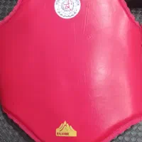 دستکش و وسایل ووشو|تجهیزات ورزشی|شیروان (خراسان), |دیوار