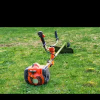 علف زن وچمن زن