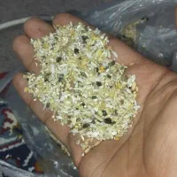 برنج قاطی برای پرندگان