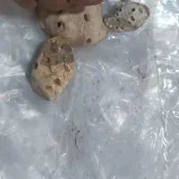 دعا با موکل تضمینی فقط سید موسی الرضا|خدمات پذیرایی، مراسم|همدان, |دیوار