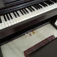 پیانو دیجیتال Yamaha YDP 143|پیانو، کیبورد، آکاردئون|مراغه, |دیوار