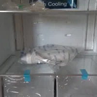 لوازم خانگی|یخچال و فریزر|آستارا, |دیوار