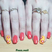 کاشت تمیز وحرفه ای ناخن بهترین قیمت|خدمات آرایشگری و زیبایی|قائمشهر, |دیوار