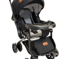 کالسکه دلیجان