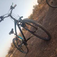 دوچرخه 26 ویوا|دوچرخه، اسکیت، اسکوتر|نیمبلوک, |دیوار