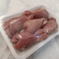 بلدرچین / گوشت بلدرچین / تخم بلدرچین|حیوانات مزرعه|شاهرود, |دیوار