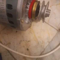 دینام کولر موتوژن تبریز