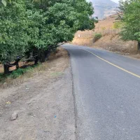 ۶۶۰۰متر زمین  چشمه دار دارای  سند تکبرگ لوکیشن .|فروش زمین و ملک کلنگی|بره‌سر, |دیوار