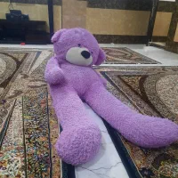 خرس بزرگ