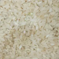 برنج و خورده برنج|خوردنی و آشامیدنی|مرودشت, ابوذر جنوبی|دیوار