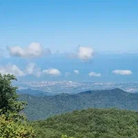 کلاردشت ۲۲۰ متر شهرکی دید جنگل با جواز ساخت|فروش زمین و ملک کلنگی|کلاردشت, |دیوار