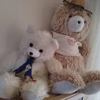 عروسک خرس بزرک