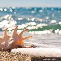 سفر ریلی قشم از تبریز قیمت ارزان و اقتصادی