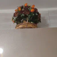 آدرس دیزج دیز