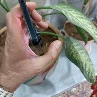 شیائومی Redmi Note 13 Pro با حافظهٔ ۵۱۲ گیگابایت