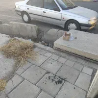 پژو405 مدل85|خودرو سواری و وانت|هشتگرد, شهرک صبا سوله|دیوار