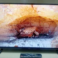 تلویزیون جی پلاس 32 اینچ نو|تلویزیون و پروژکتور|سمنان, |دیوار