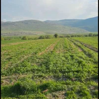 فروش زمین در منطقه بیلوار به متراژ ۵ هزار متر