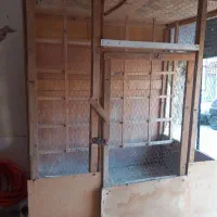 کبوتر|لوازم جانبی حیوانات|نسیمشهر, |دیوار