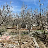 باغ باغچه چهاردیوار ۹۰۰ متررزکان میدان نماز شهریار|فروش خانه و ویلا|تهران, استاد معین|دیوار