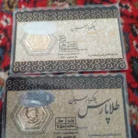 سکه پارسیان ۲ عدد