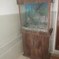 آکواریوم سالم وزیبا