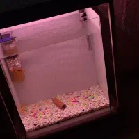 آکواریوم شیشه خم با برچسب