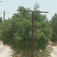 باغسندتکبرگ آبکشاورزی برق،سهیلیه،زعفرانیه،زکی آباد|فروش زمین و ملک کلنگی|کرج, فاز ۲ مهرشهر|دیوار