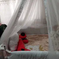 گهواره و تخت کنار مادر|تخت و سرویس خواب|اهواز, آریاشهر|دیوار