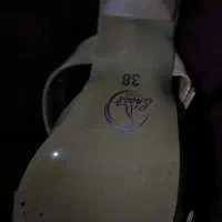 کفش|کیف، کفش، کمربند|دوگنبدان, |دیوار