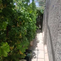 یک واحد مسکونی داخل باغ ویلا
