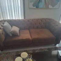 سالونی