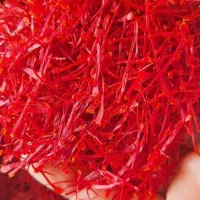 انواع زعفران سرگل نگین ممتاز مشهد|خوردنی و آشامیدنی|چابهار, |دیوار