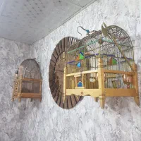 عتیقه|لوازم جانبی حیوانات|تهران, مینای شمالی (مخبر)|دیوار