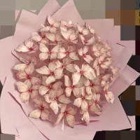 دسته گل پروانه ای|گل مصنوعی|دوگنبدان, |دیوار